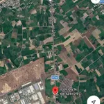 Bán đất 8000m2 mặt tiền DT742 Bình Dương 25 tỷ - Ảnh thu nhỏ 4