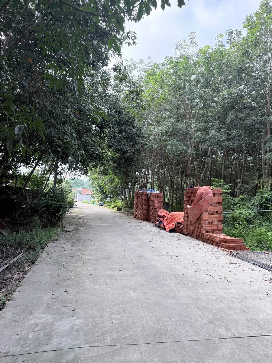 Bán đất Tân Bình 200m² giá 1 tỷ 5 - Ảnh thu nhỏ 3