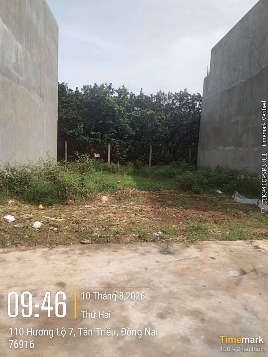 Bán đất thổ cư sổ riêng 80m2 gần đường Hương lộ 7, phường Tân Triều, Đồng Nai - Ảnh thu nhỏ 3
