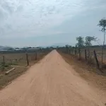 Bán đất góc 2 mặt tiền 21.000m² Phước Hòa Bắc Ái - Ảnh thu nhỏ 1