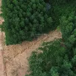 Bán đất tại Vinh Hưng, 900 triệu, 255m2, Chính chủ - Ảnh thu nhỏ 4