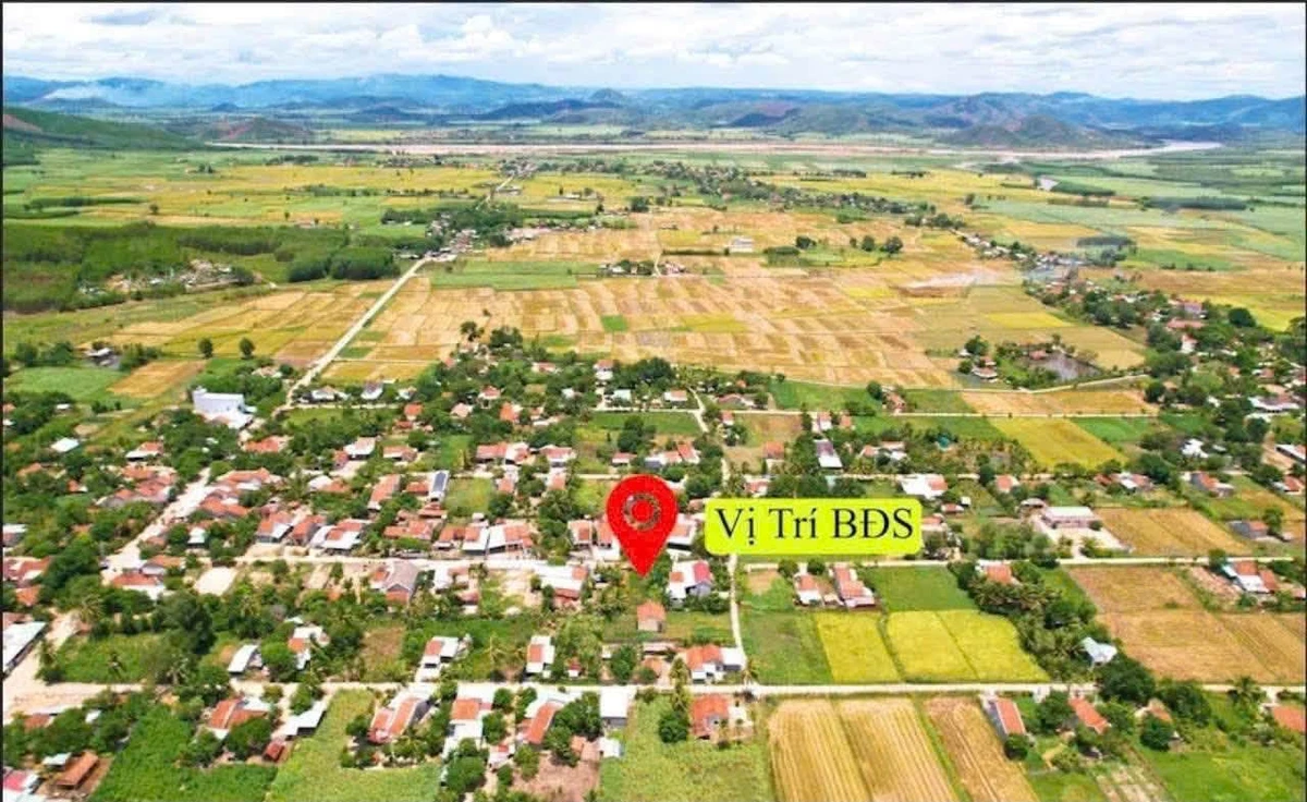 Bán lô đất thổ cư sổ hồng riêng 168m² Xã Đức Bình Hóc Môn 200tr - Ảnh thu nhỏ 3