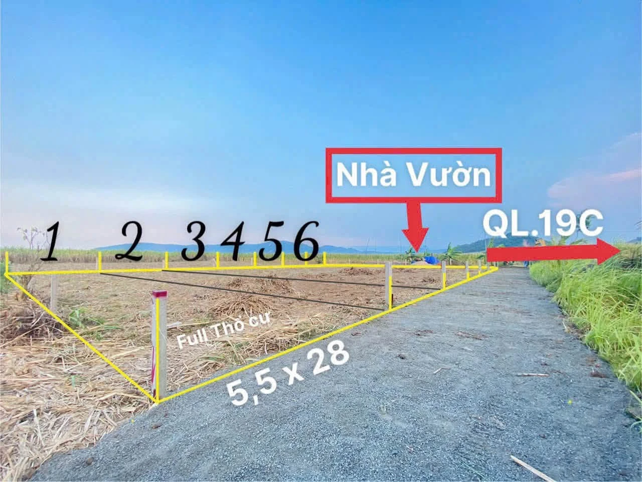 Bán lô đất 153.8m² tại Đức Bình, Đắk Lắk 195 triệu - Ảnh 1