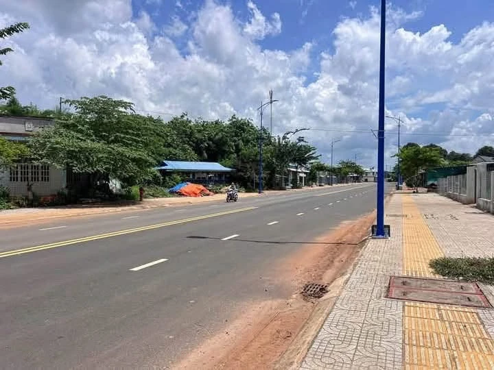 Bán đất mặt tiền 8x20m tại Long Phước, Bà Rịa - Ảnh thu nhỏ 3