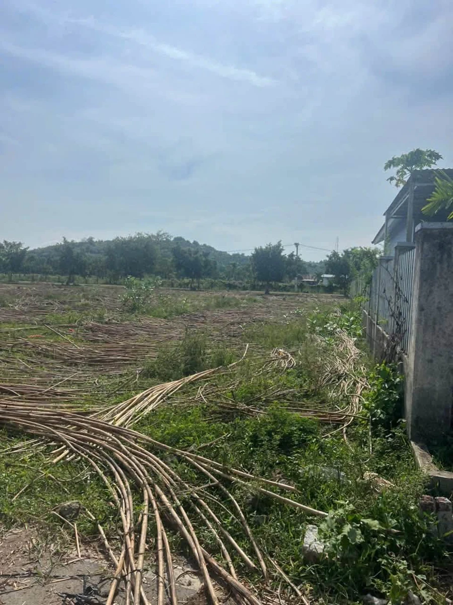 Bán lô đất Diên Hoà Diên Khánh 169m² chỉ 650 triệu - Ảnh thu nhỏ 5