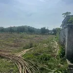 Bán lô đất Diên Hoà Diên Khánh 169m² chỉ 650 triệu - Ảnh thu nhỏ 5