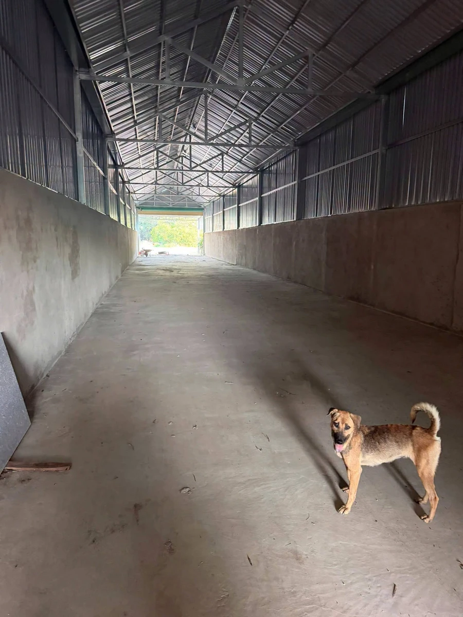 Bán đất mặt tiền Quốc lộ 14 Tân Thành, 73,800m² - Ảnh thu nhỏ 2