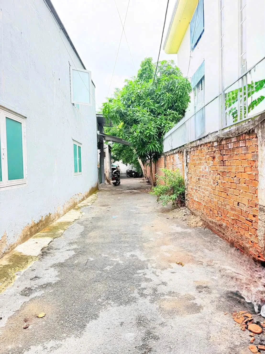 Bán đất trống hẻm xe hơi 58m2 đường Lạc Long Quân, Phường 11, Tân Bình - Ảnh 1