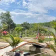 Chính chủ bán tổng 5.000m2 đất Long Nguyên Bàu Bàng. LH ngay 0989 288 *** - Ảnh thu nhỏ 7
