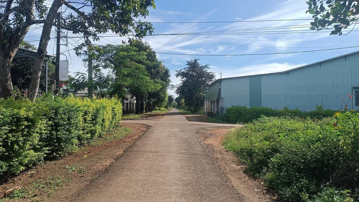Bán đất góc 2 mặt tiền 182m² Ỷ Lan Biển Hồ, Gia Lai Tây - Ảnh thu nhỏ 3