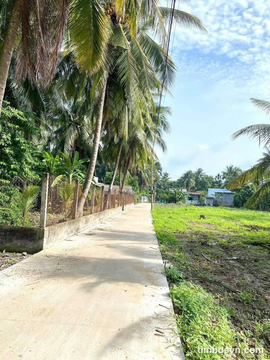 Bán đất 150m² tại chợ gạo Xuân Đông, Tiền Giang - Ảnh thu nhỏ 4