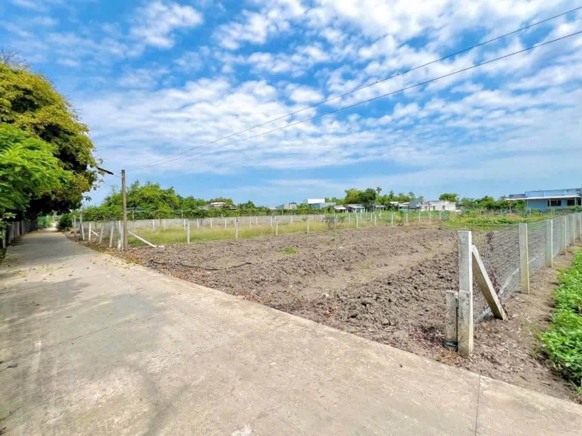 Bán đất vườn 430m² Cần Giờ, giá 1,65 tỷ - Ảnh 1