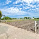 Bán đất vườn 430m² Cần Giờ, giá 1,65 tỷ - Ảnh thu nhỏ 1