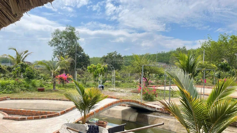 Chính chủ bán tổng 5.000m2 đất Long Nguyên Bàu Bàng. LH ngay 0989 288 ***