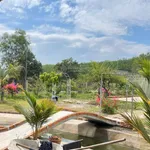 Chính chủ bán tổng 5.000m2 đất Long Nguyên Bàu Bàng. LH ngay 0989 288 *** - Ảnh thu nhỏ 1