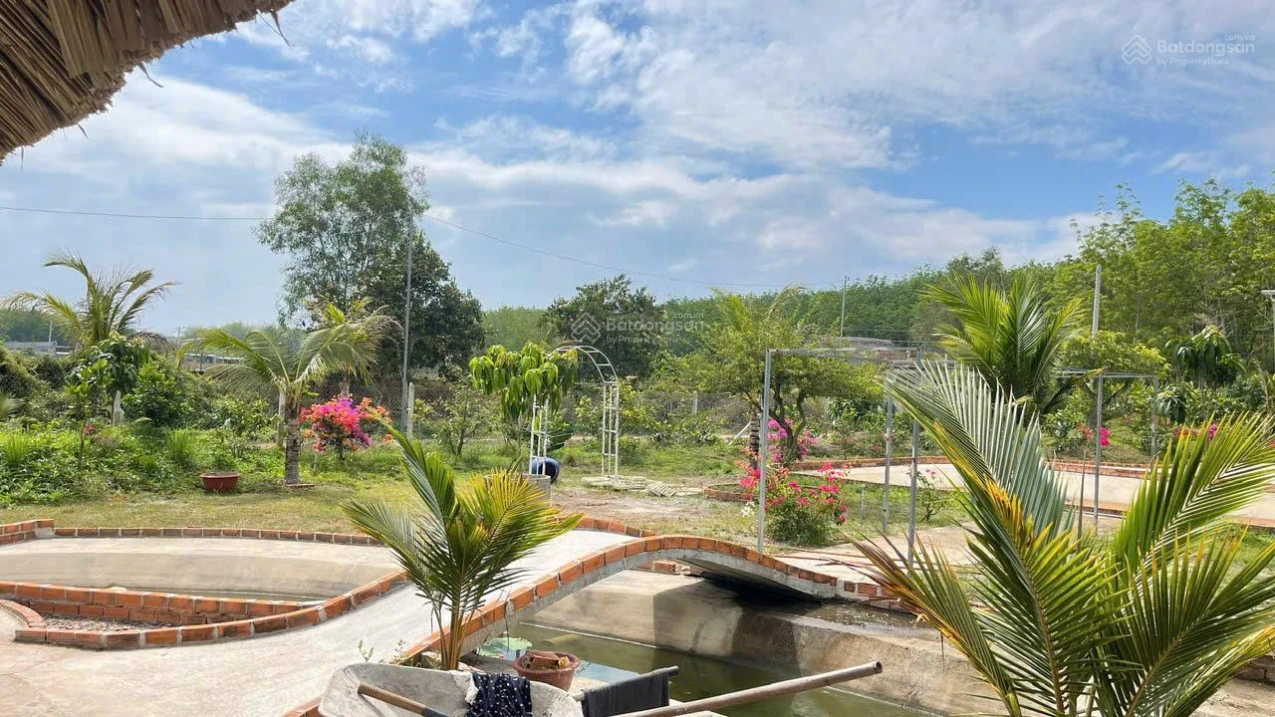 Chính chủ bán tổng 5.000m2 đất Long Nguyên Bàu Bàng. LH ngay 0989 288 *** - Ảnh 1