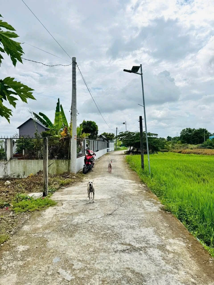 Bán nền đất thổ cư 64m2 Cần Giờ, giá 720 triệu - Ảnh thu nhỏ 5