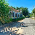 390tr thương lượng mạnh. Bán đất đường nhựa tại Xã Phước Thạnh, Gò Dầu, Tây Ninh, 137,1m² thổ cư - Ảnh thu nhỏ 13