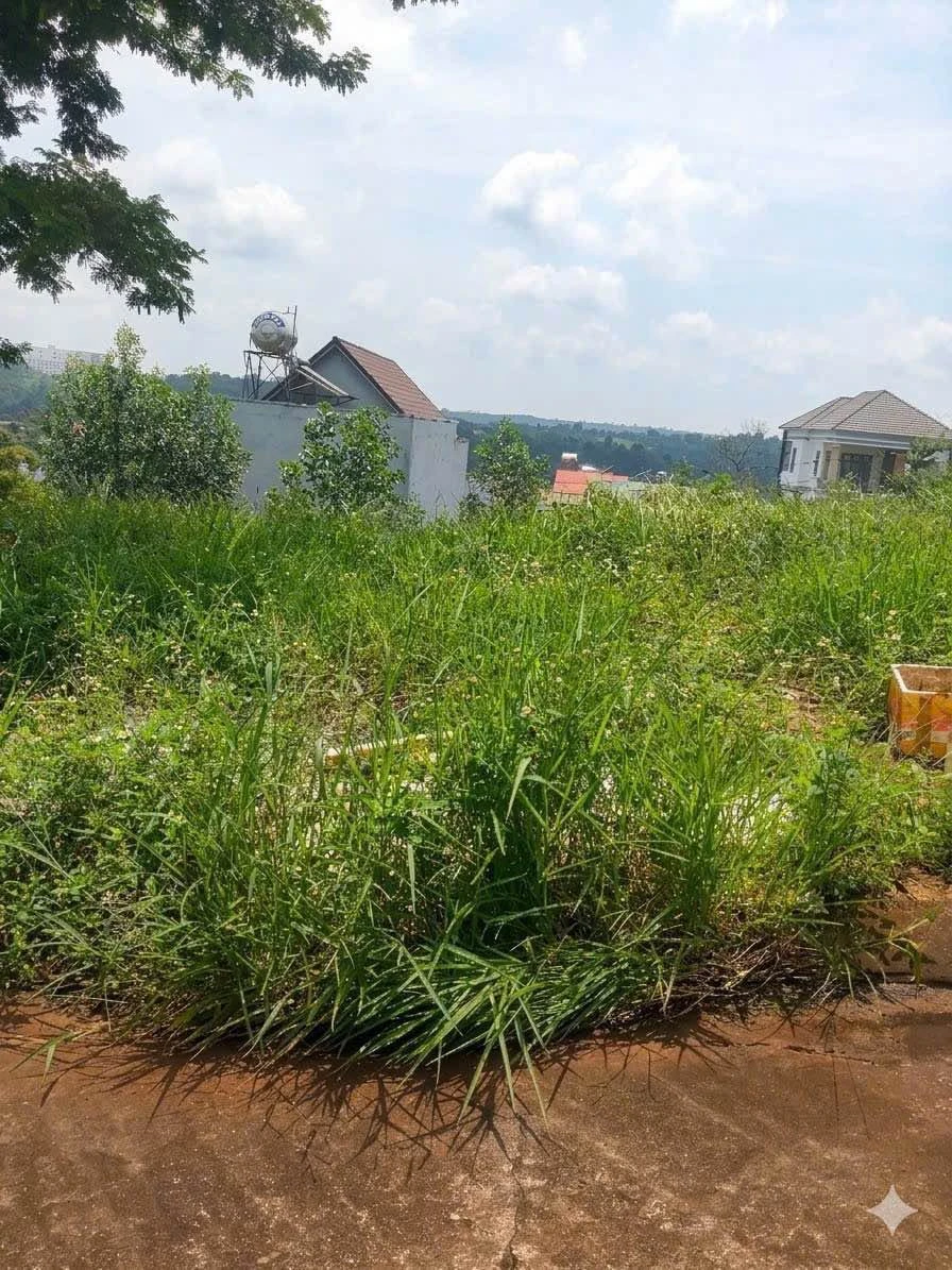 Bán đất tính cư An Phương 150m² Lâm Đồng 1,15 tỷ - Ảnh 1