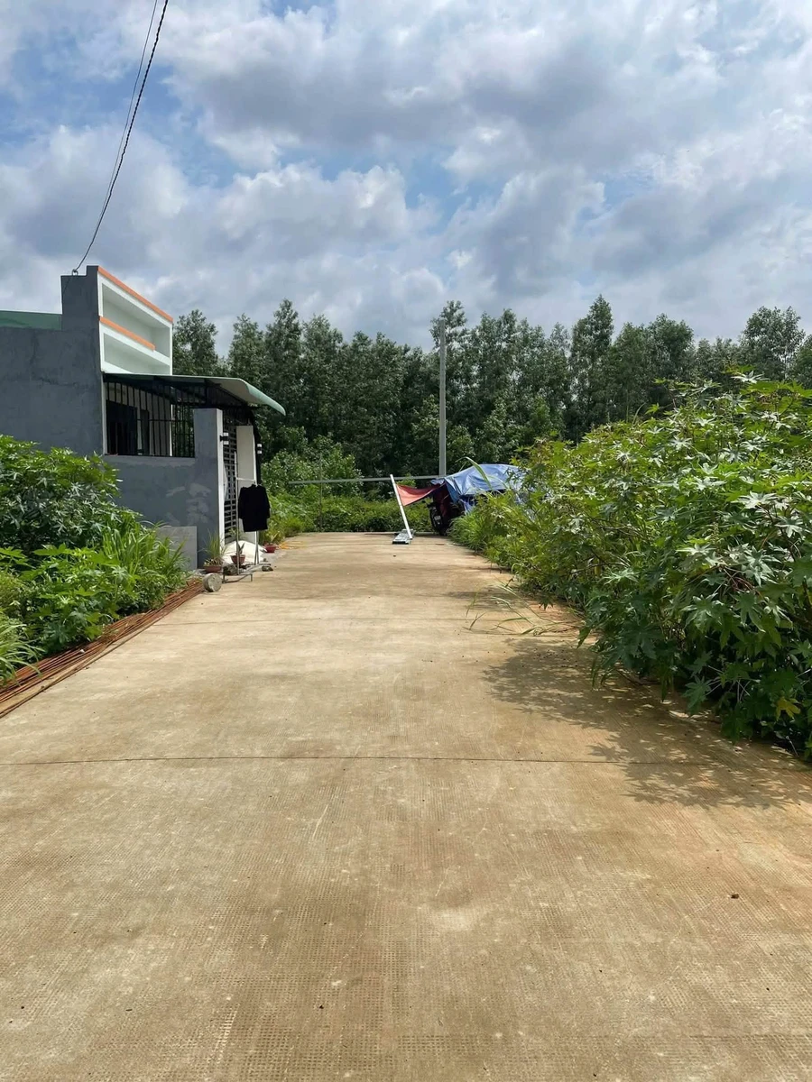 Bán lô đất 5x20m gần chợ Thạnh Phú, Biên Hòa, 1 tỷ 1 - Ảnh 1