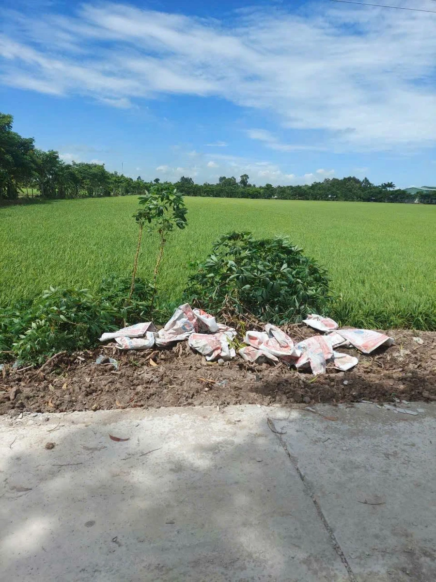 Bán 18 công đất lúa Kênh 5 Hóc Môn, 18.432m2, sổ riêng - Ảnh thu nhỏ 3