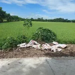 Bán 18 công đất lúa Kênh 5 Hóc Môn, 18.432m2, sổ riêng - Ảnh thu nhỏ 3