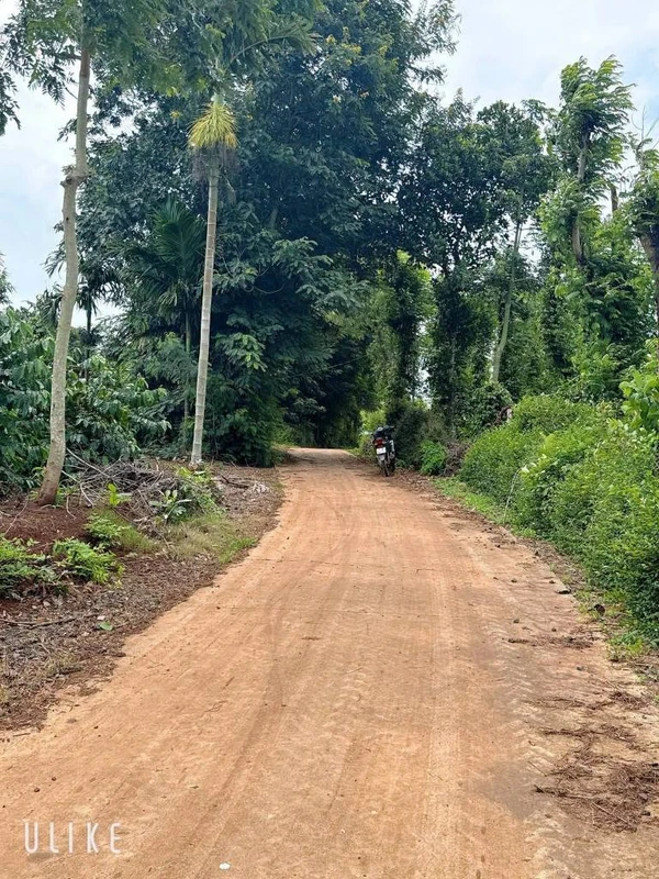 Bán lô đất 1700m2 (26x52m, thổ cư 100m2) gần hồ Ea Kao, xã Ea Tiêu, Đắk Lắk