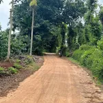 Bán lô đất 1700m2 (26x52m, thổ cư 100m2) gần hồ Ea Kao, xã Ea Tiêu, Đắk Lắk - Ảnh thu nhỏ 1