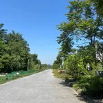 Bán lô đất N7 TDC Vạn Hoà 138,75m2, giá 1,6 tỷ - Ảnh thu nhỏ 2