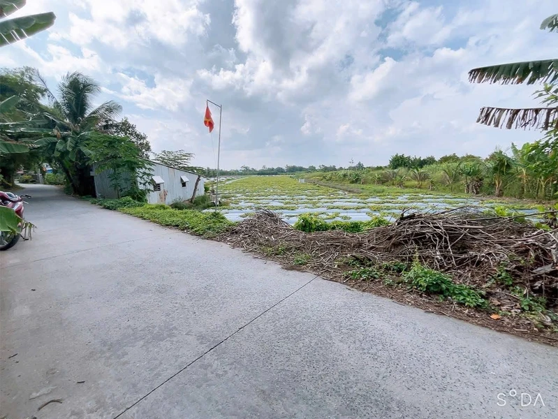 Bán 3000m2 đất lúa cách Đại học Nam Cần Thơ 700m, giá 2,8 tỷ/1000m2
