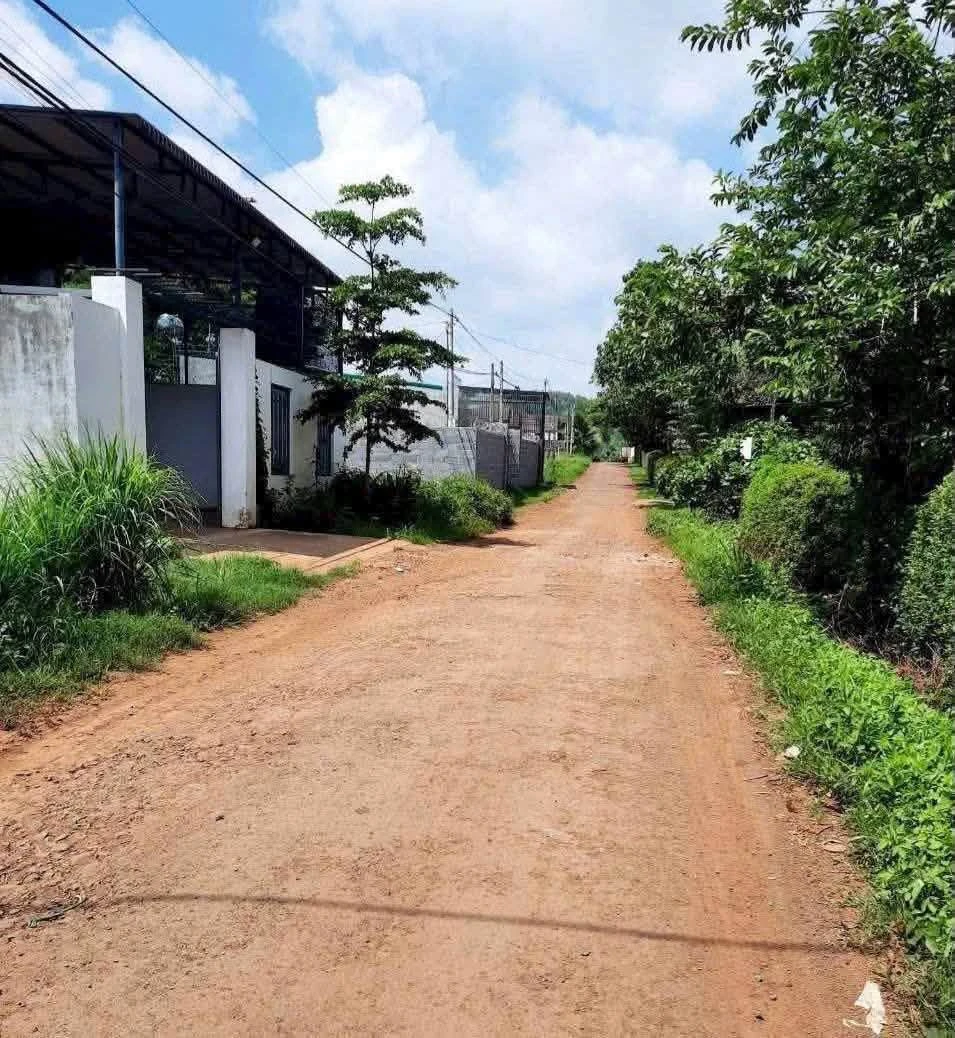 Bán lô đất nông nghiệp 390m² Nguyễn Thị Định, Đắk Lắk - Ảnh 1