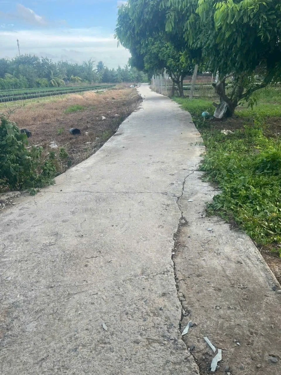 Bán đất Nhà Bè 1500 m² mặt tiền 70m chỉ 400 triệu - Ảnh 1