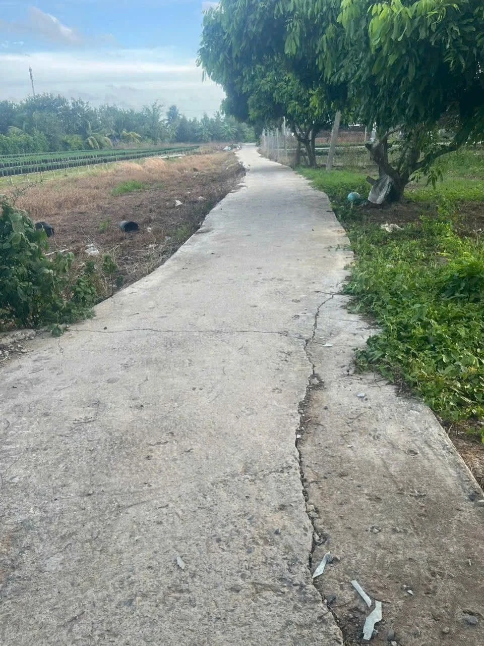 Bán đất Nhà Bè 1500 m² mặt tiền 70m chỉ 400 triệu - Ảnh 1