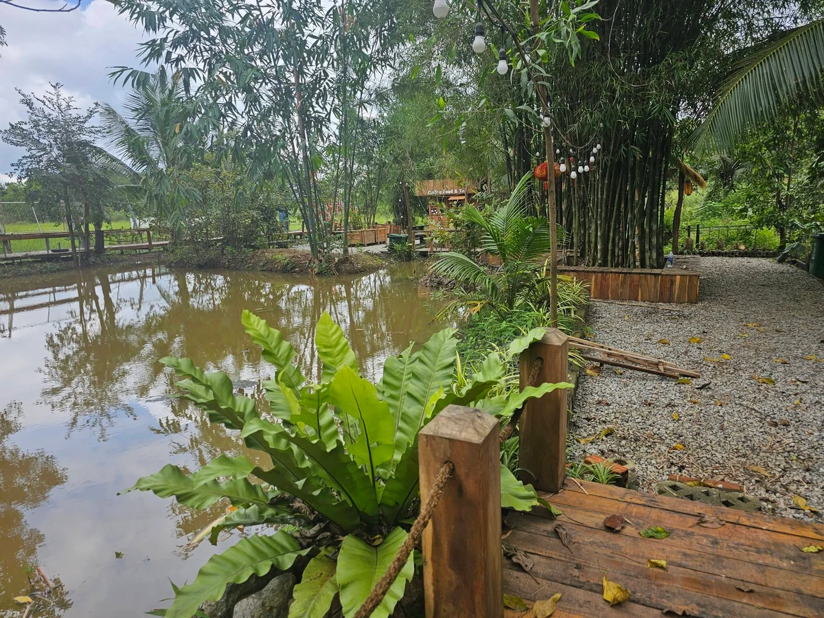 Bán farm sinh thái 7000m2 Đồng Xoài, Bình Dương - Ảnh thu nhỏ 5