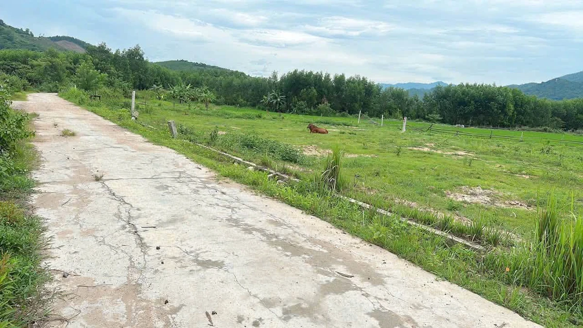 Bán 2 lô đất 580m² mặt tiền đường Bêtông Nhà Bè - Ảnh thu nhỏ 4