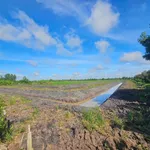 Bán 5000m² đất nghỉ dưỡng Cần Thơ 3.2 tỷ - Ảnh thu nhỏ 3