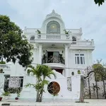 Bán biệt thự Phước Sơn 4 phòng ngủ 232m² Vũng Tàu 19 tỷ - Ảnh thu nhỏ 3