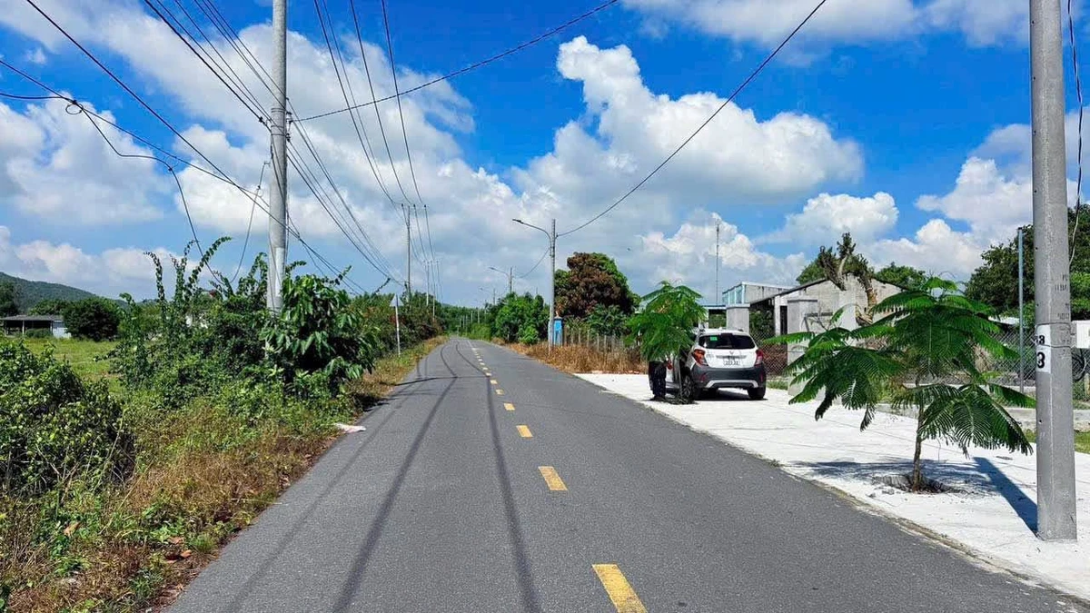 Bán đất 186.2m2 Phước Hải, gần biển, Nhà Bè - Ảnh thu nhỏ 2