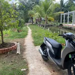 Bán đất 532m² Mỏ Cày, Bình Chánh, 900 triệu - Ảnh thu nhỏ 1