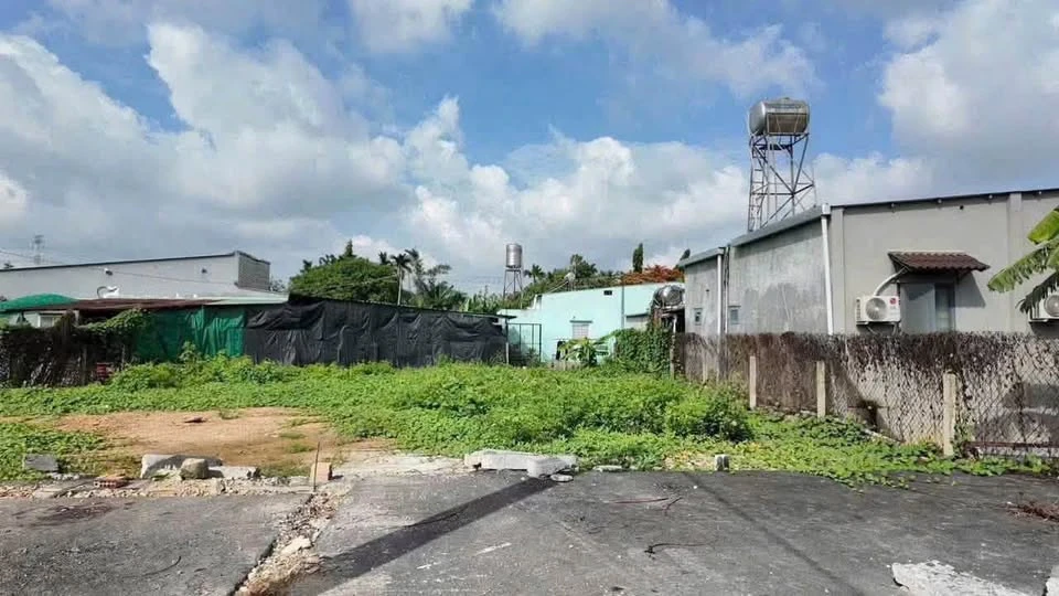Bán 2 lô đất liền kề mặt tiền Hương Lộ 9, 250m², Đồng Nai - Ảnh thu nhỏ 4