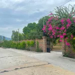 Bán 3.208m đất TMDV trung tâm Ninh Hòa vị trí đẹp, giá 6,5 triệu/m - Ảnh thu nhỏ 19