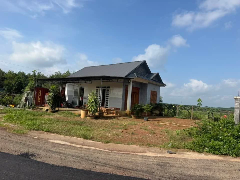 tt tân phú bán nhà 10x27x100tc giá 1,250 ty quá rẻ giáp chủ - Ảnh 1