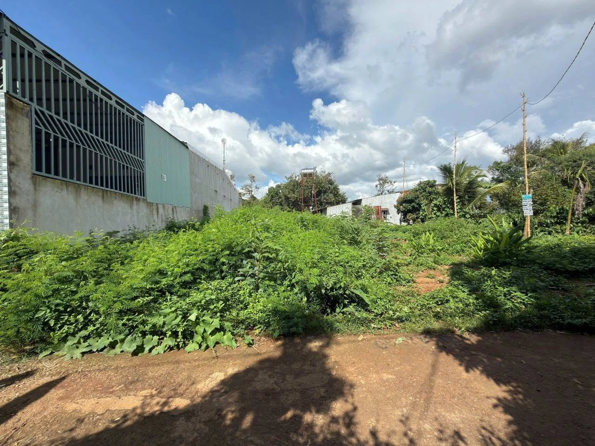 Bán đất hẻm cấp 1 Nguyễn Xuân Nguyên, 50m², Buôn Ma Thuột - Ảnh thu nhỏ 3