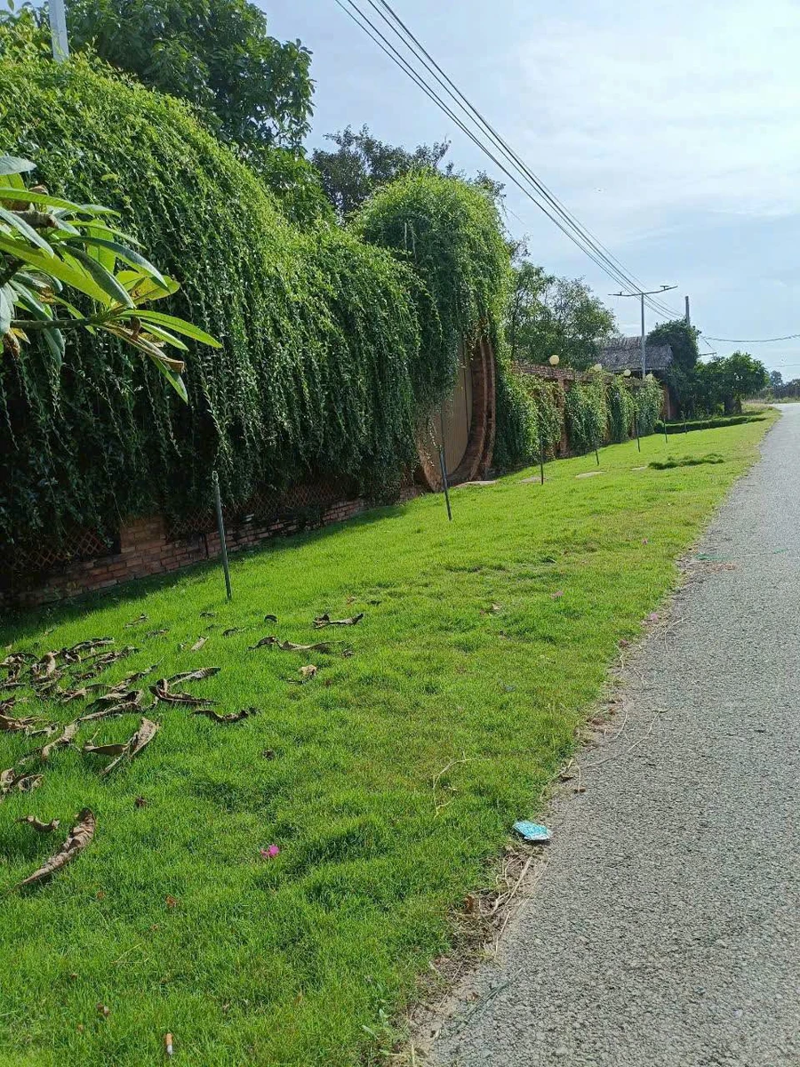 Bán gấp lô đất 630m2 gần UBND xã Xuyên Mộc, Bông Trang, Bà Rịa - Vũng Tàu giá 1,999 tỷ - Ảnh thu nhỏ 3