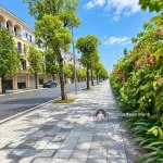 LK 70m2 giá CỰC TỐT 8,1 tỷ, hướng đông nam, vừa ở vừa kinh doanh, ngay cạnh trường học, chung cư - Ảnh thu nhỏ 5