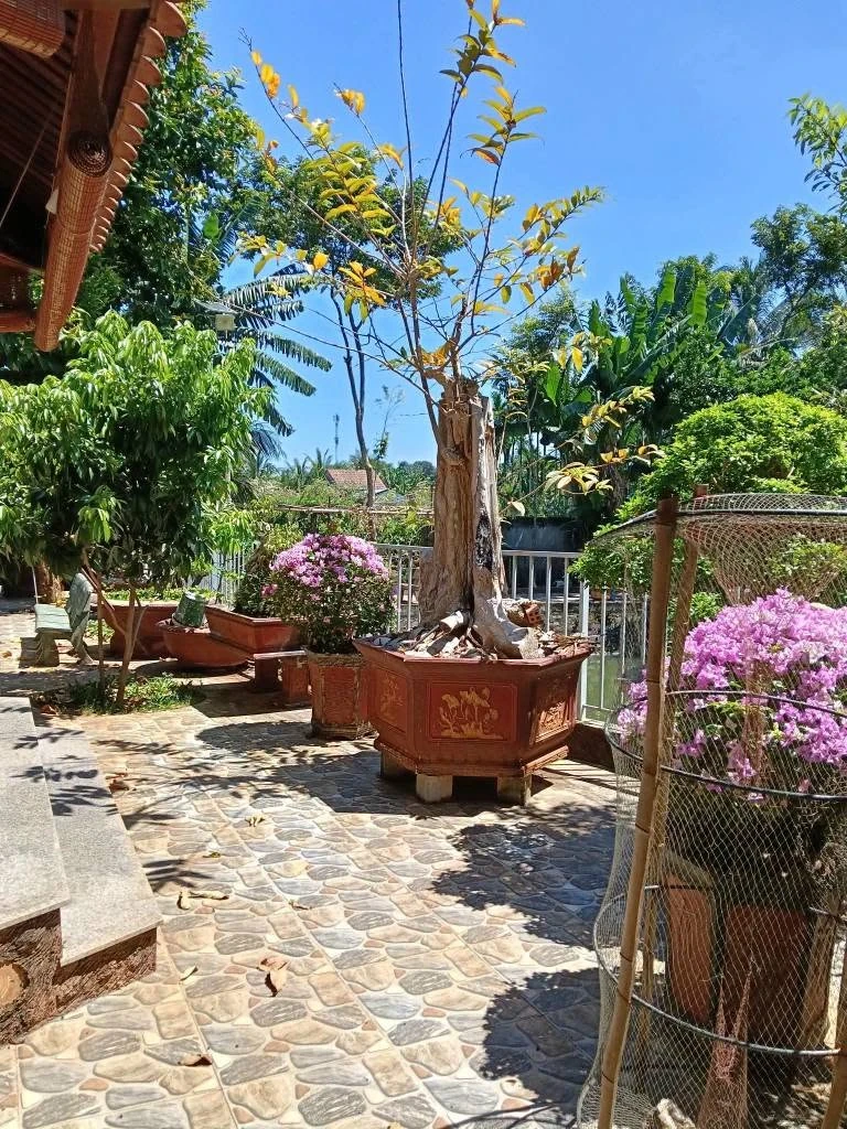 Bán nhà vườn mặt tiền Hoàng Quốc Việt Buôn Ma Thuột 4.372m² - Ảnh thu nhỏ 4
