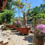 Bán nhà vườn mặt tiền Hoàng Quốc Việt Buôn Ma Thuột 4.372m² - Ảnh thu nhỏ 4