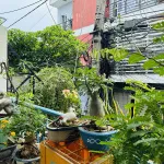 Nhà trung tâm phố biển Quy Nhơn chỉ cách 5 phút ra biển. Vị trí đắc địa để ở hoặc homestay du lịch! - Ảnh thu nhỏ 14