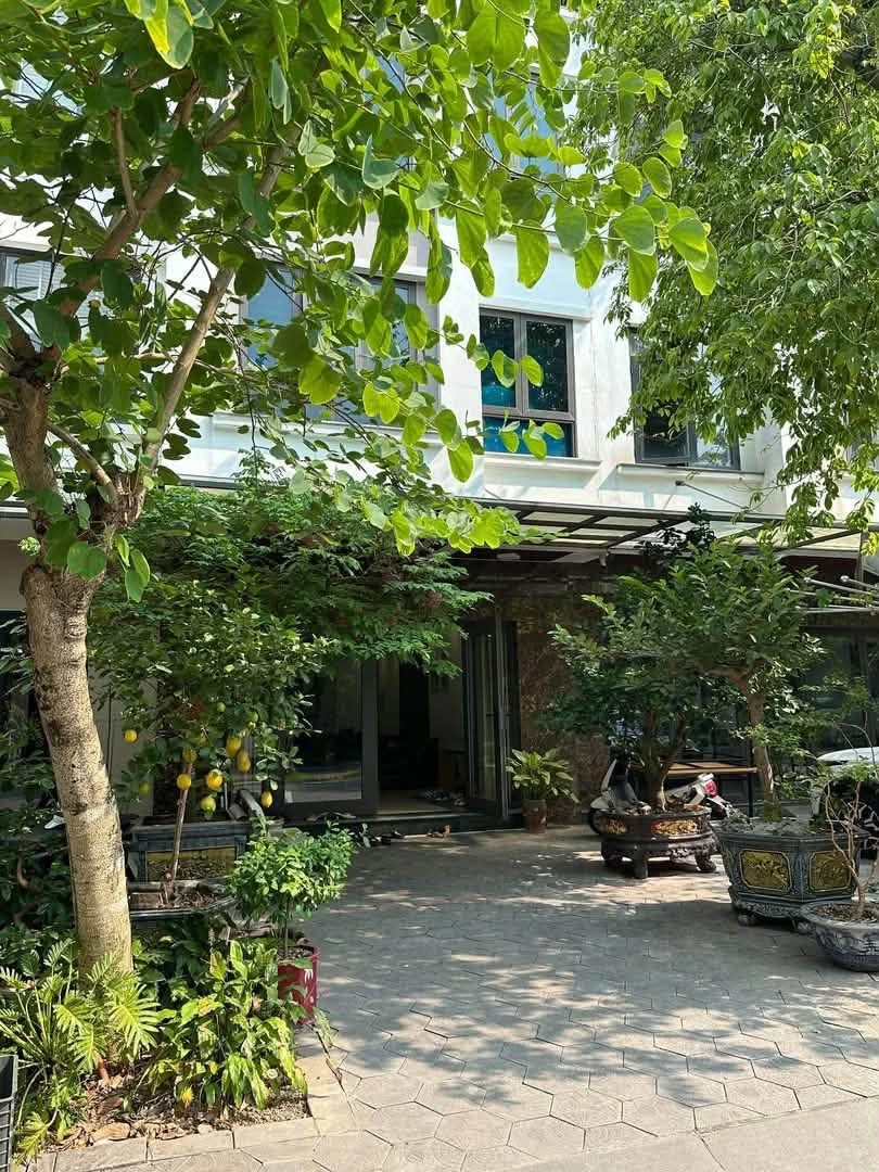 Bán nhà mặt tiền 22m đường đôi Nguyễn Tuấn Trình 95m2 4PN - Ảnh 1