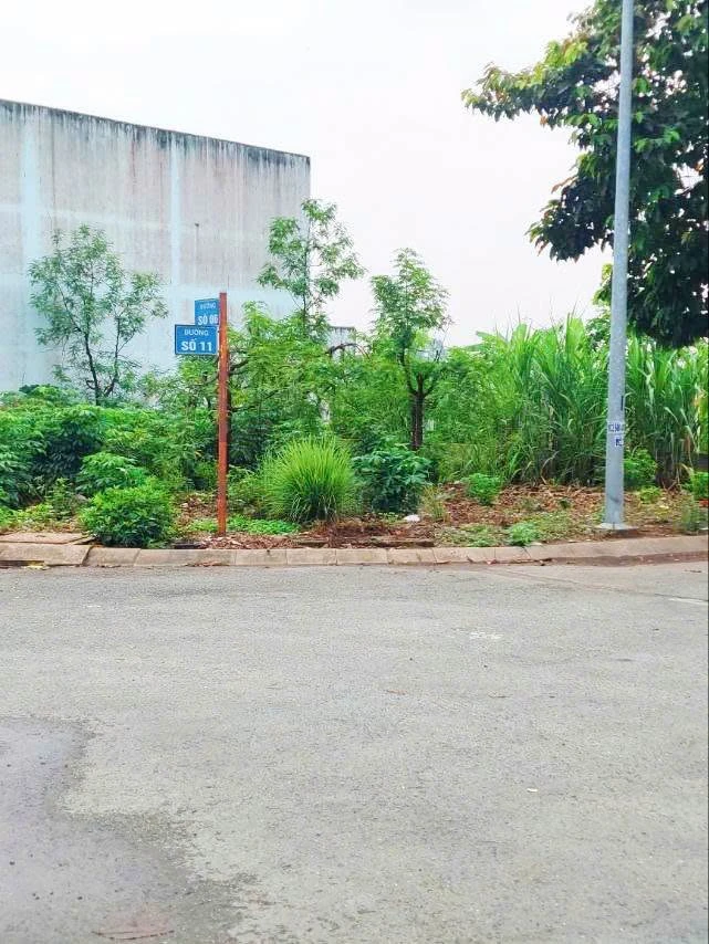 Bán đất lô góc 2 mặt tiền 8x19m đối diện Waterpoint, KDC Nam Long, Bến Lức, Long An - Ảnh thu nhỏ 4